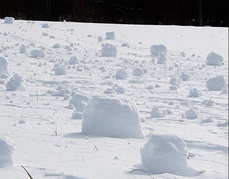 Snowrollers 2014